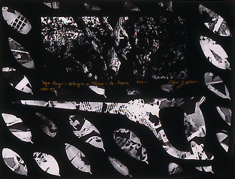 Coping Saw and Pohutakawa leaves, Rangitoto Island, Auckland, lloyd godman