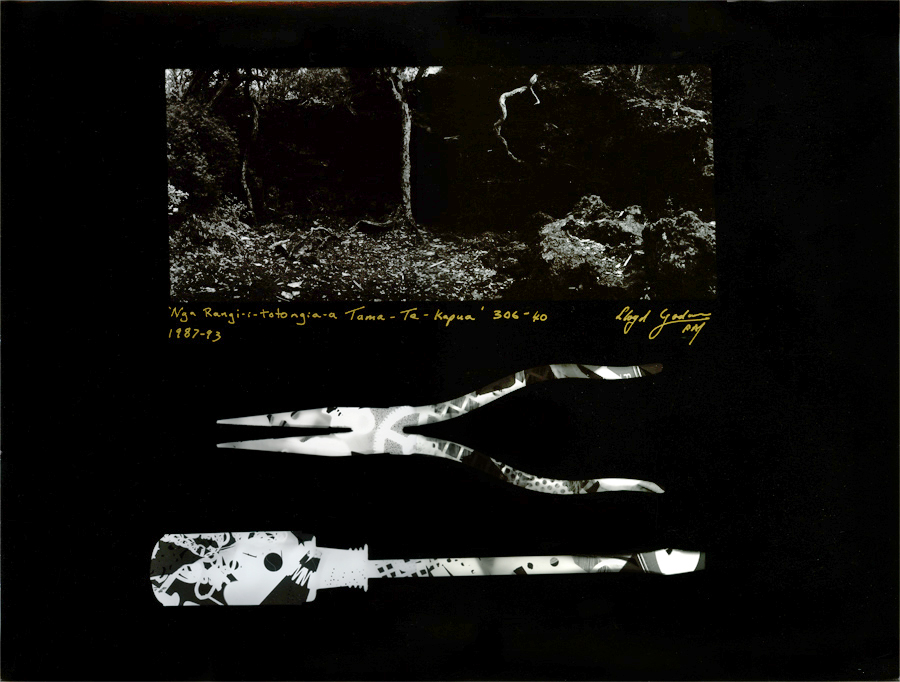 Needle nose pliers and screw driver, Rangitoto Island, Auckland , lloyd godman