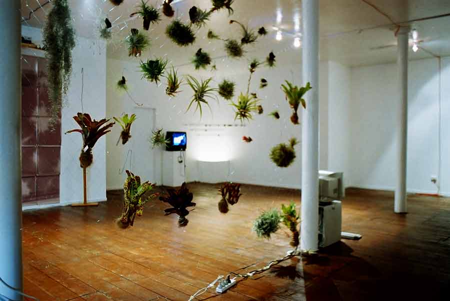 @ the Speed of Light - Installation Blue Oyster Gallery 2002 before the performance by Lloyd Godman on closing night