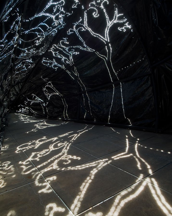 nterior of Carbon Obscura with sun projections - fog state, artist, lloyd godman