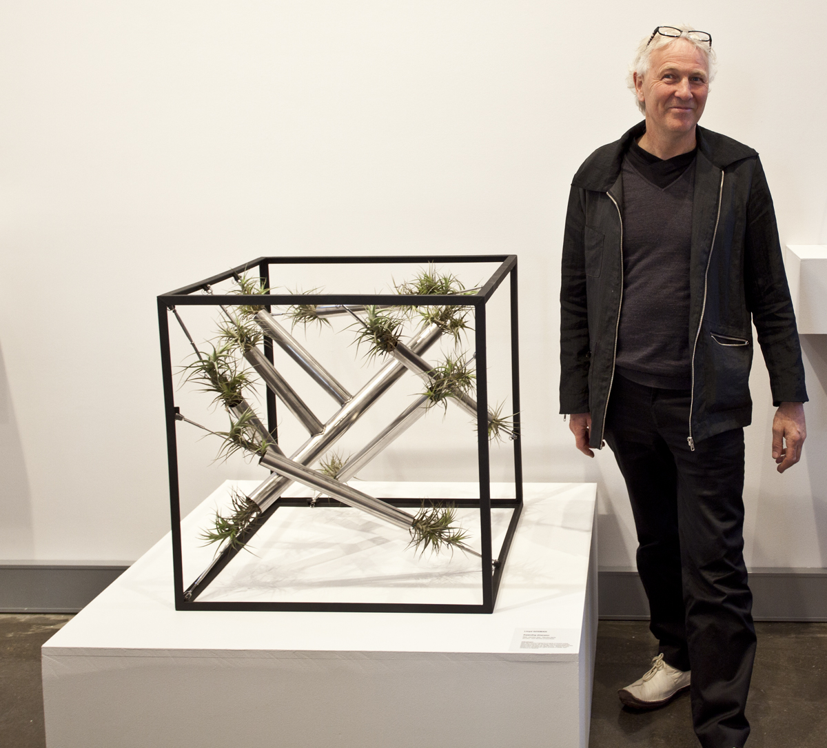 Lloyd Godman with Expanding dimension - a super sustainable plant sculpture