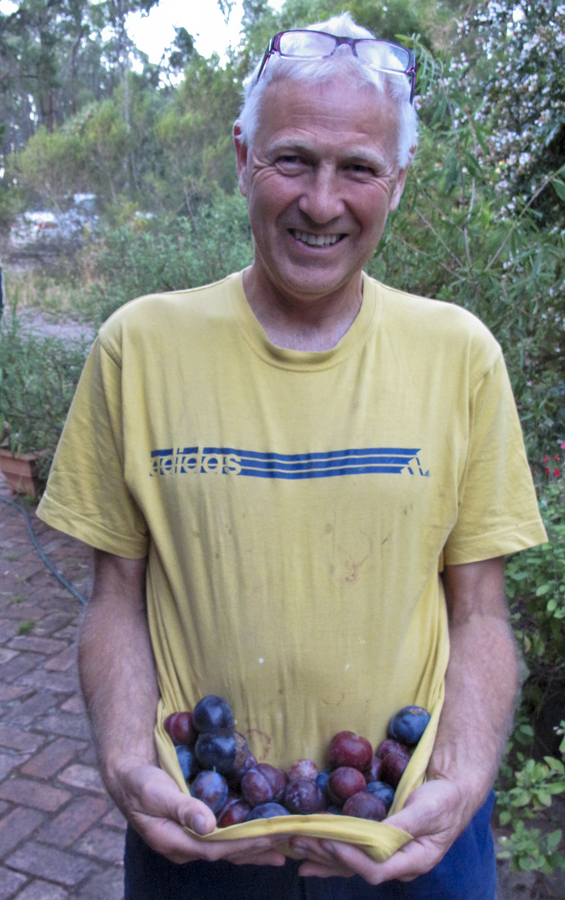 Lloyd godman with plums