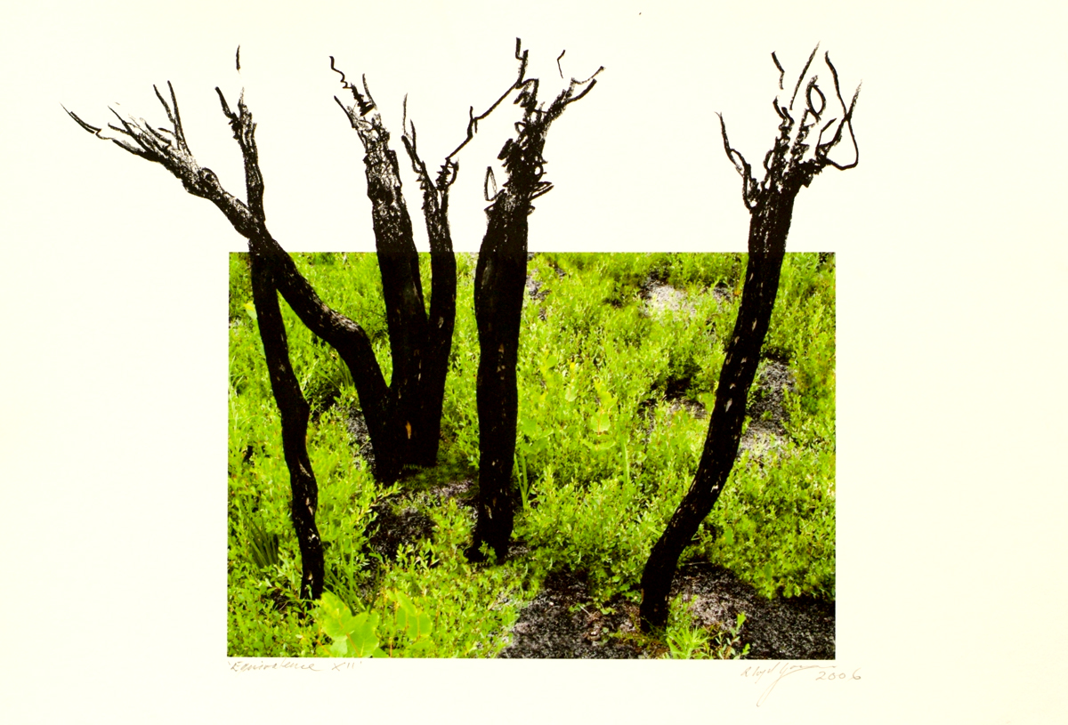 fire at Wilson's Promontory, lloyd godman