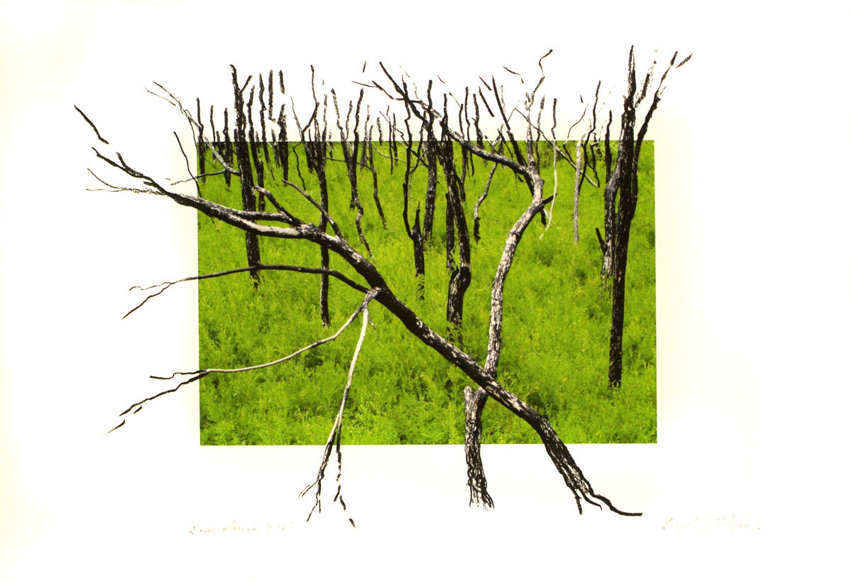fire at Wilson's Promontory, lloyd godman