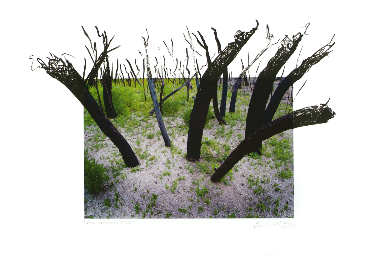 fire at Wilson's Promontory, lloyd godman
