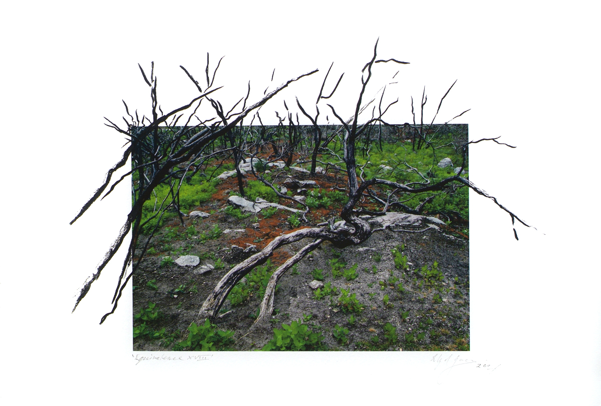 fire at Wilson's Promontory, lloyd godman