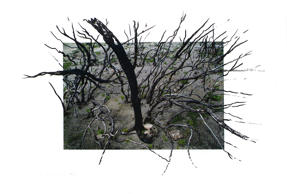 fire at Wilson's Promontory, lloyd godman