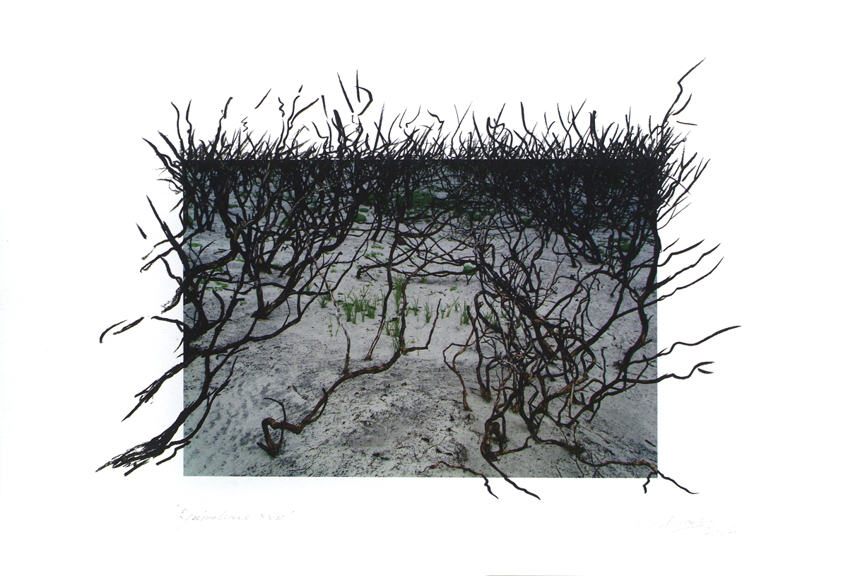 fire at Wilson's Promontory, lloyd godman