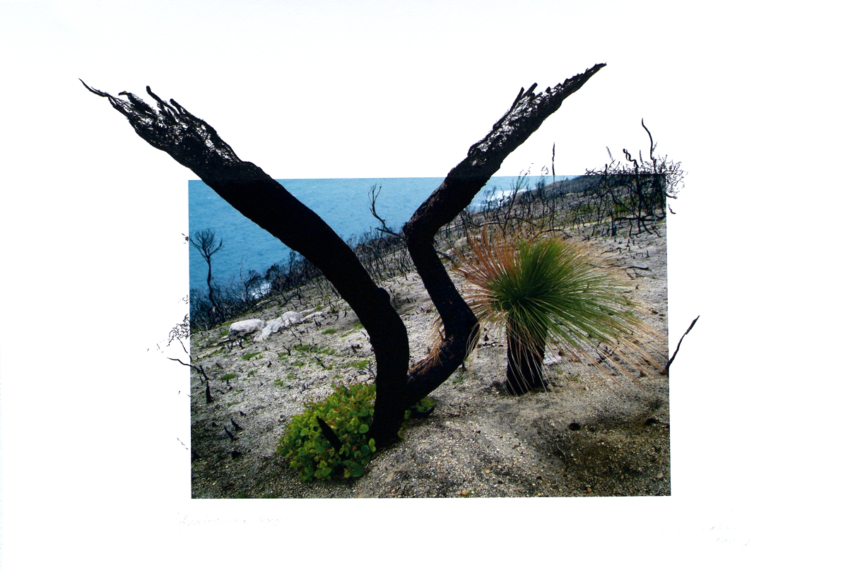 fire at Wilson's Promontory, lloyd godman