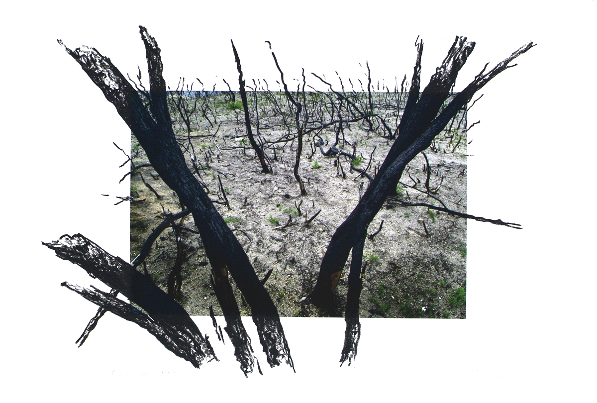 fire at Wilson's Promontory, lloyd godman