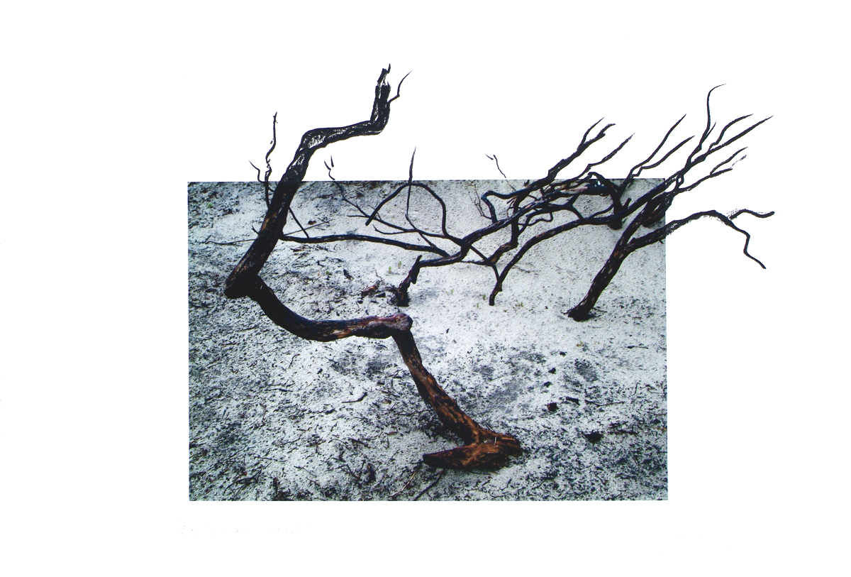 fire at Wilson's Promontory, lloyd godman