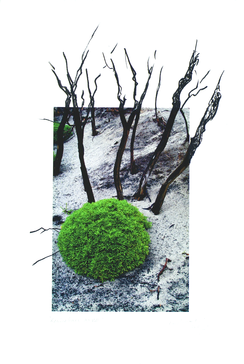 fire at Wilson's Promontory, lloyd godman