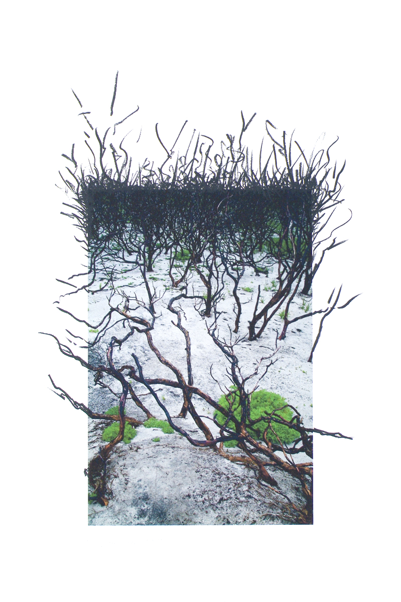 fire at Wilson's Promontory, lloyd godman