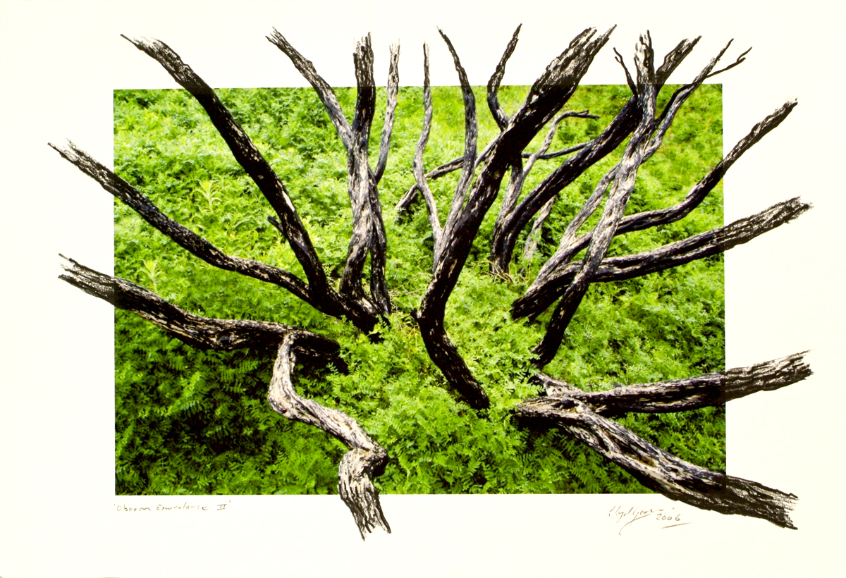fire at Wilson's Promontory, lloyd godman