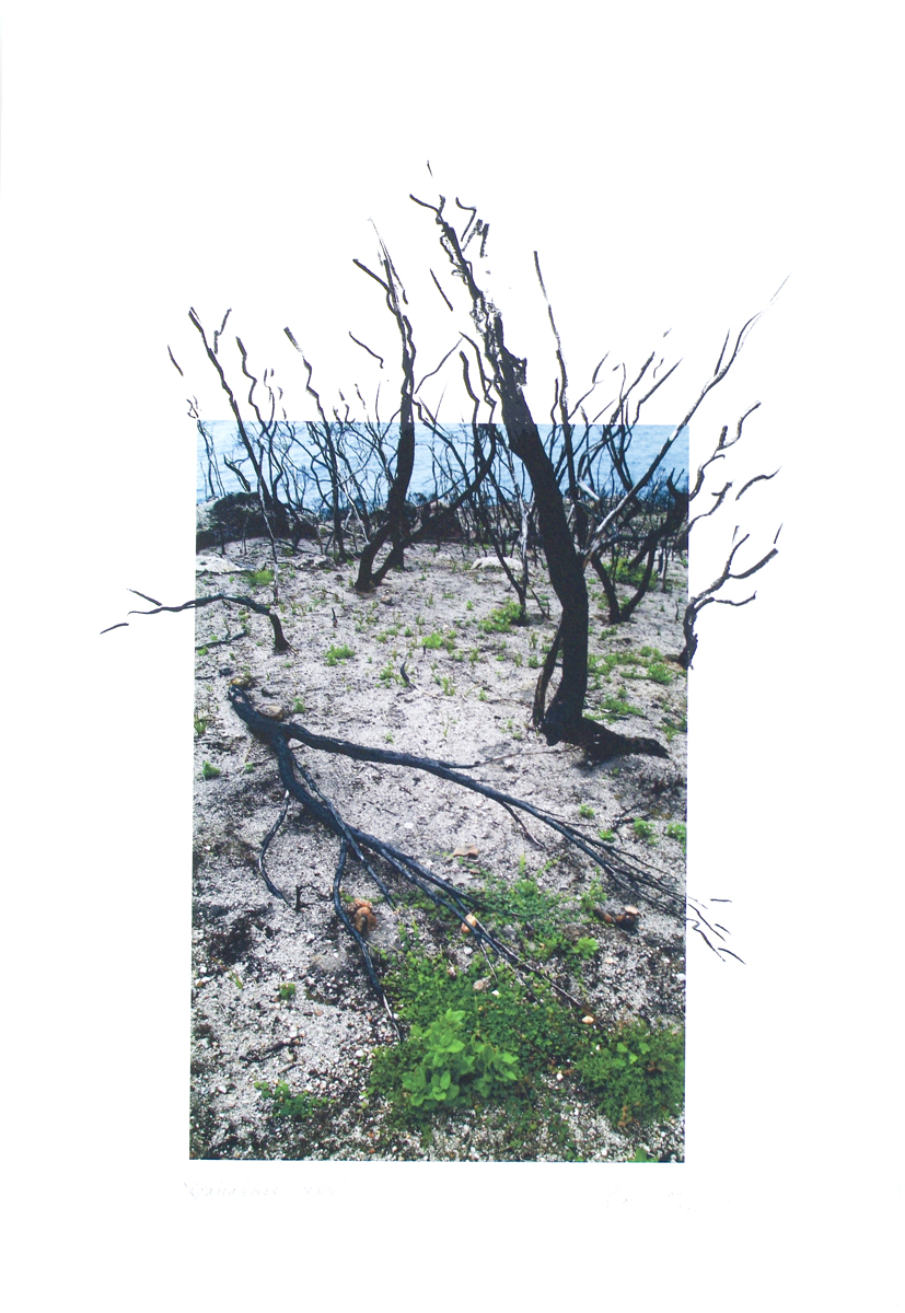 fire at Wilson's Promontory, lloyd godman
