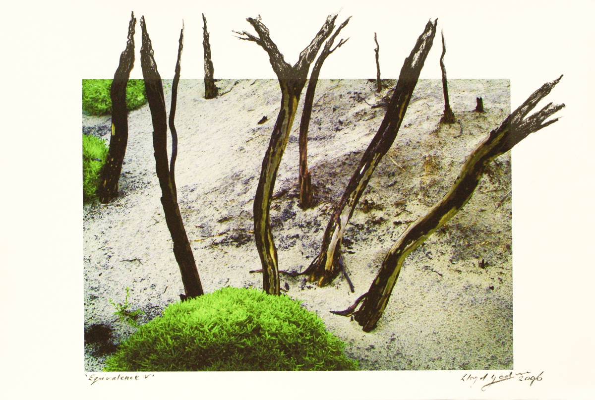 fire at Wilson's Promontory, lloyd godman