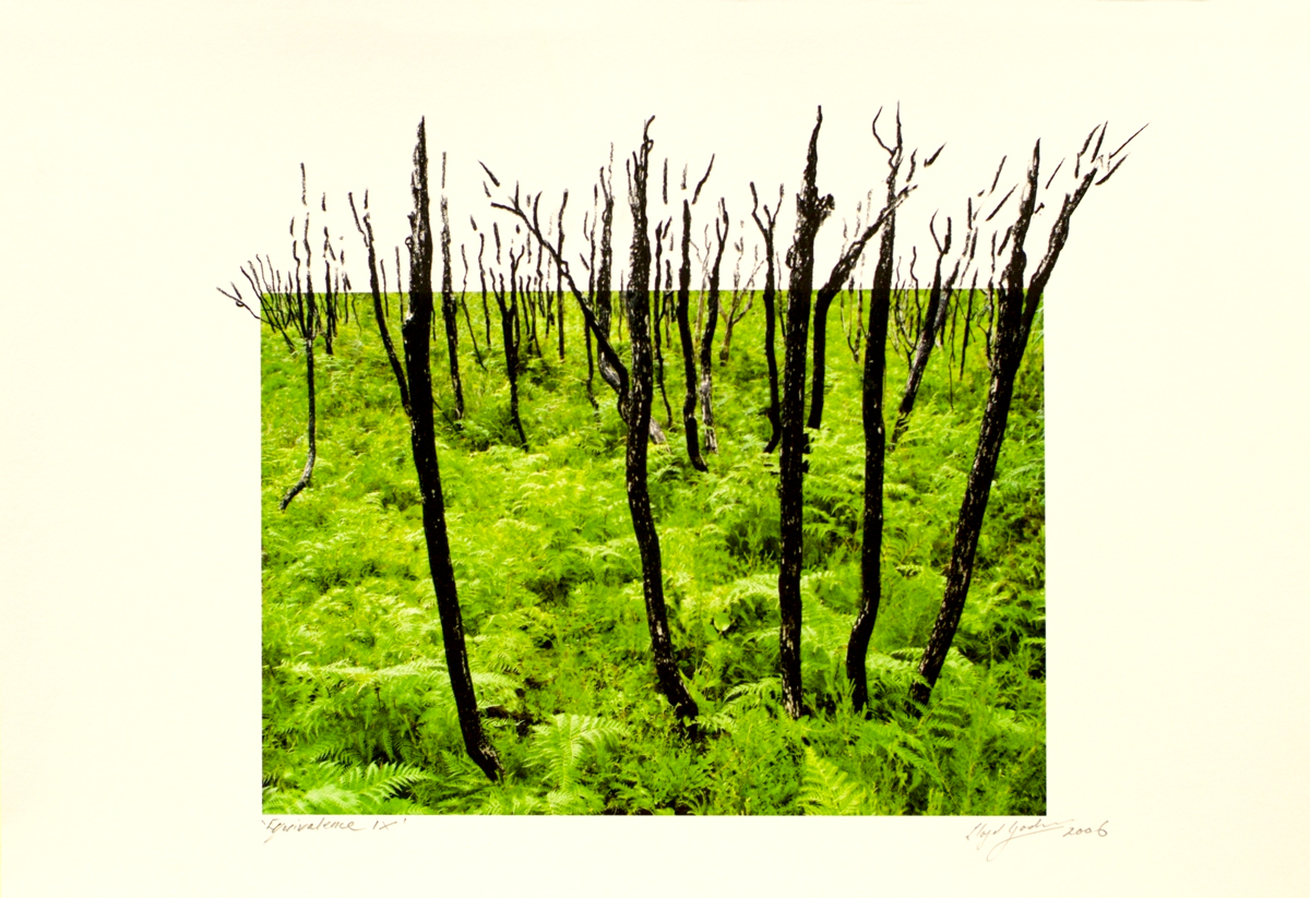 fire at Wilson's Promontory, lloyd godman