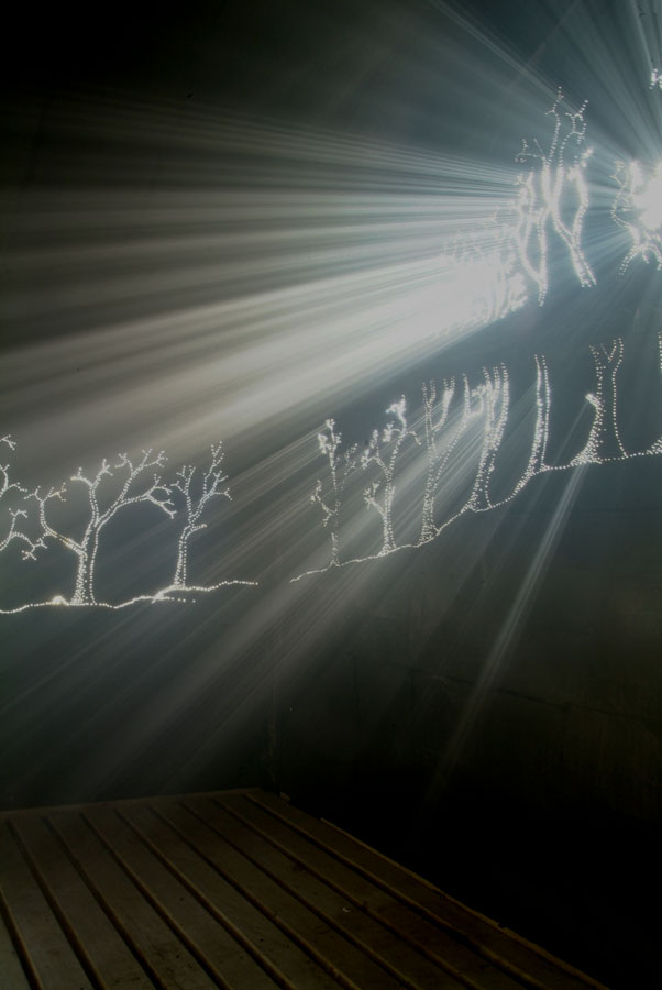 Fog and light Lloyd Godman
