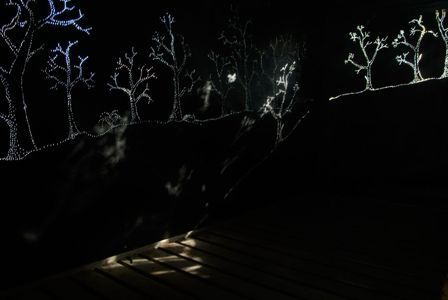 carbon obscura, Lloyd Godman
