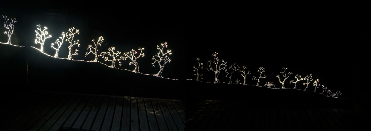 carbon obscura, Lloyd Godman
