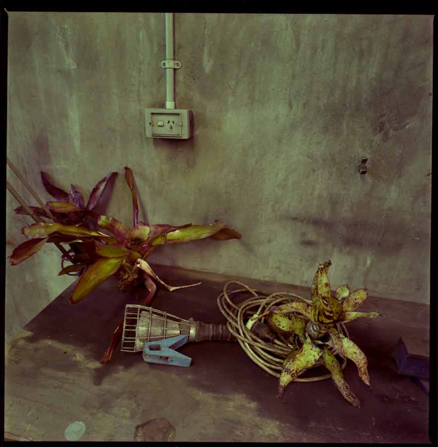 plant room art installation