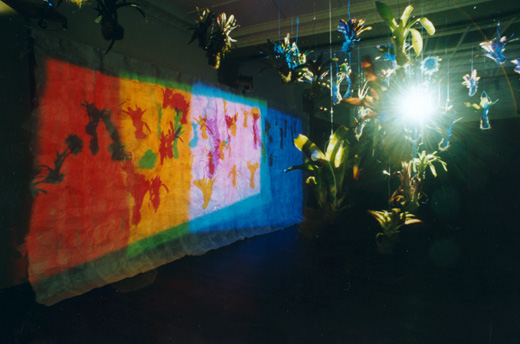 projection installation - Lloyd Godman