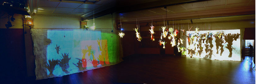 Enlighten,installation by Lloyd Godman