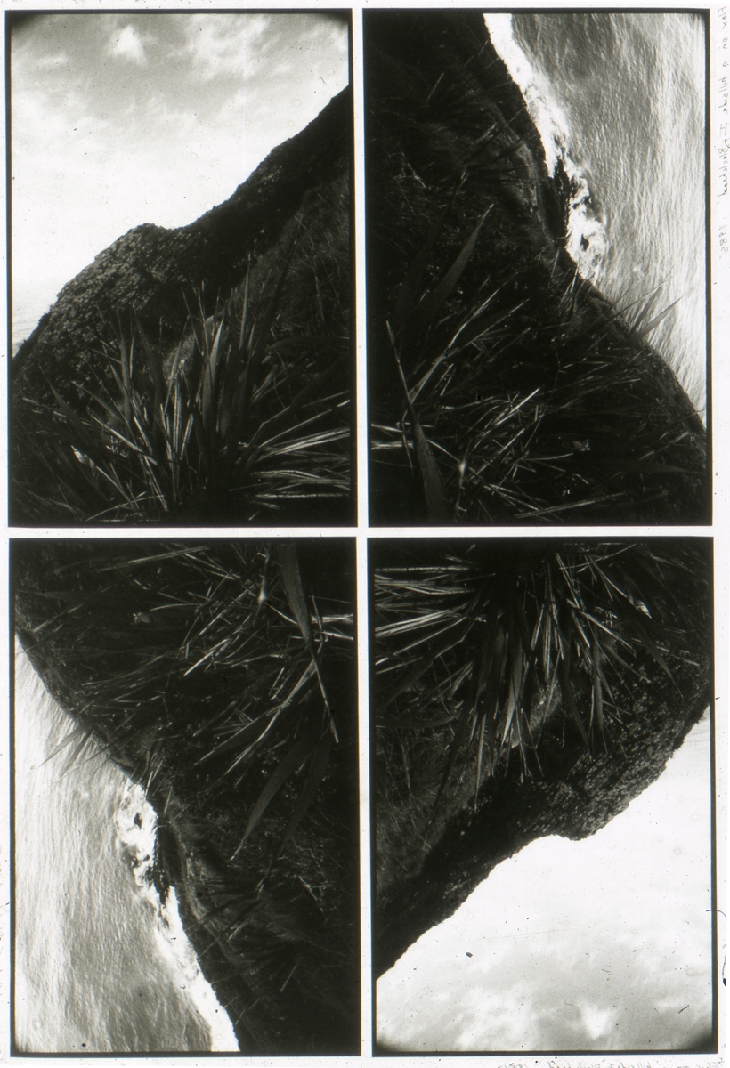 Blackhead, Dunedin, New Zealand, 1986 - Lloyd Godman