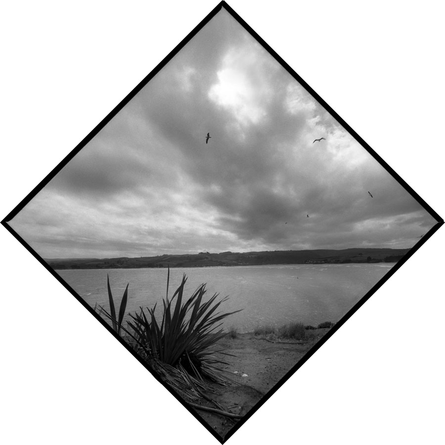 Moturata (Taieri Island), Otago, N. Z. - Lloyd Godman -1999