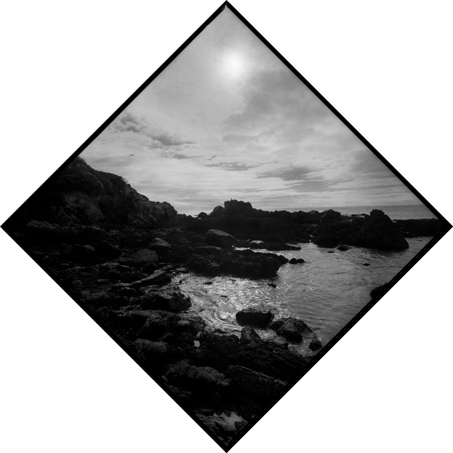 Summer Solstice Journey III - Akatore Creek, Otago, New Zealand