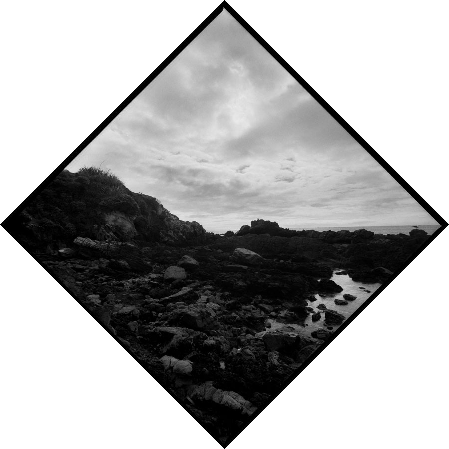 Summer Solstice Journey III - Akatore Creek, Otago, New Zealand