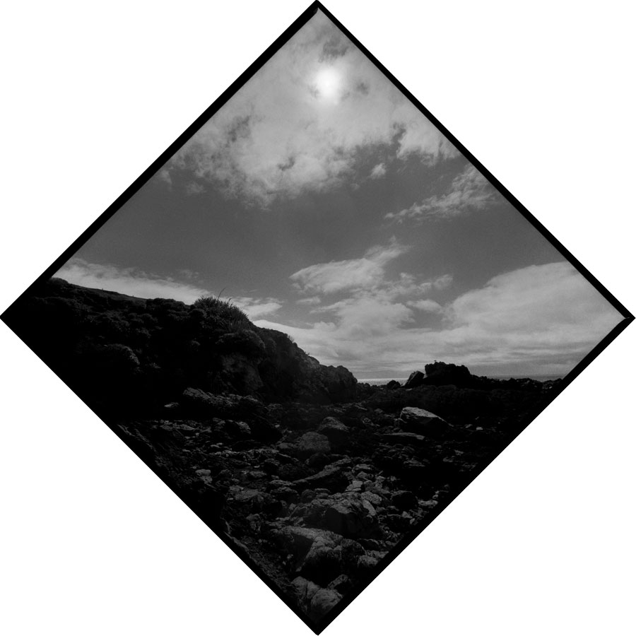 Summer Solstice Journey III - Akatore Creek, Otago, New Zealand