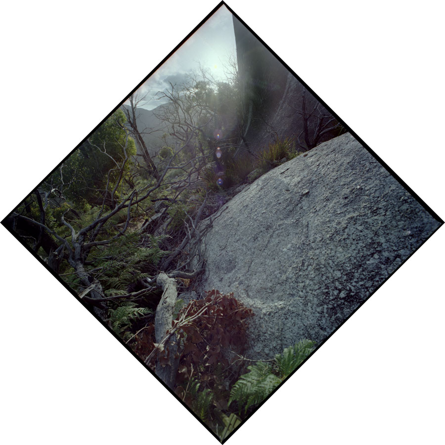 Summer Solstice Journey VII - Wilsons Promontory, Victoria, Australia - Lloyd Godman