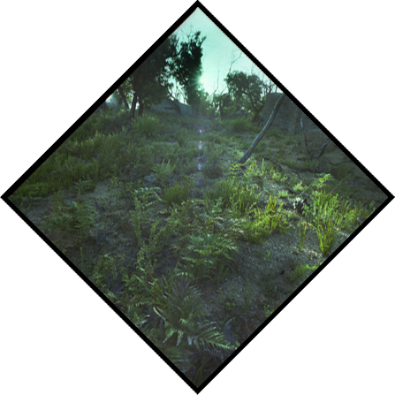 Summer Solstice Journey VII - Wilsons Promontory, Victoria, Australia - Lloyd Godman