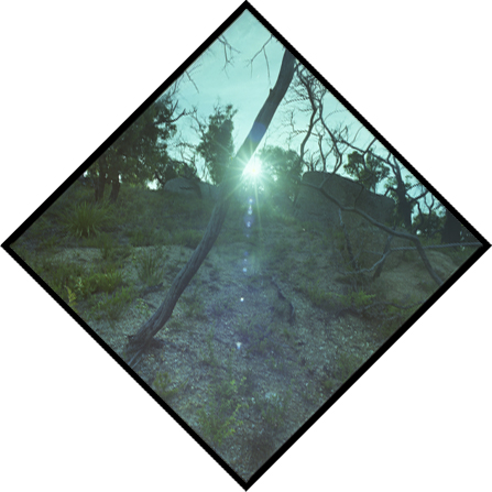 Summer Solstice Journey VII - Wilsons Promontory, Victoria, Australia - Lloyd Godman