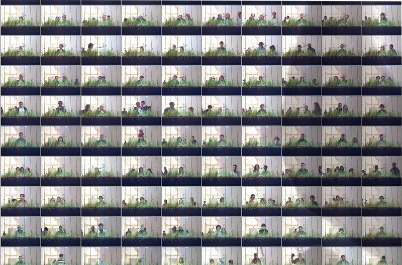 Time Lapse detail 5