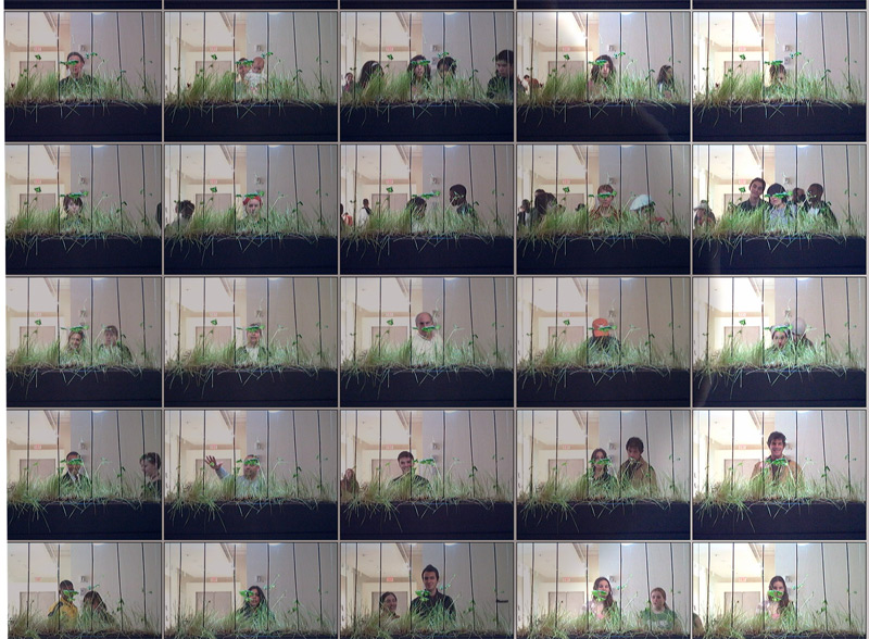LLoyd Godman, Timed Lapse detail 6A