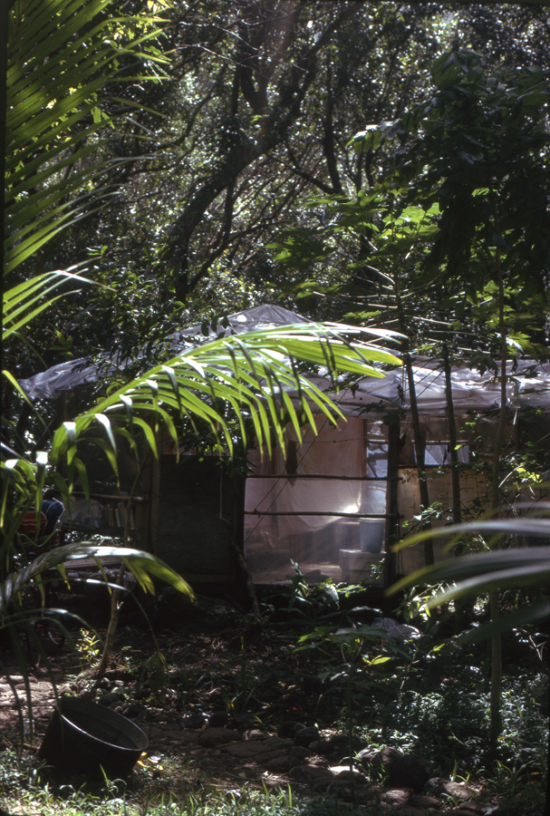 Plastic Tree house, Taylor Camp, Haena, Hawaii, Lloyd Godman photograph