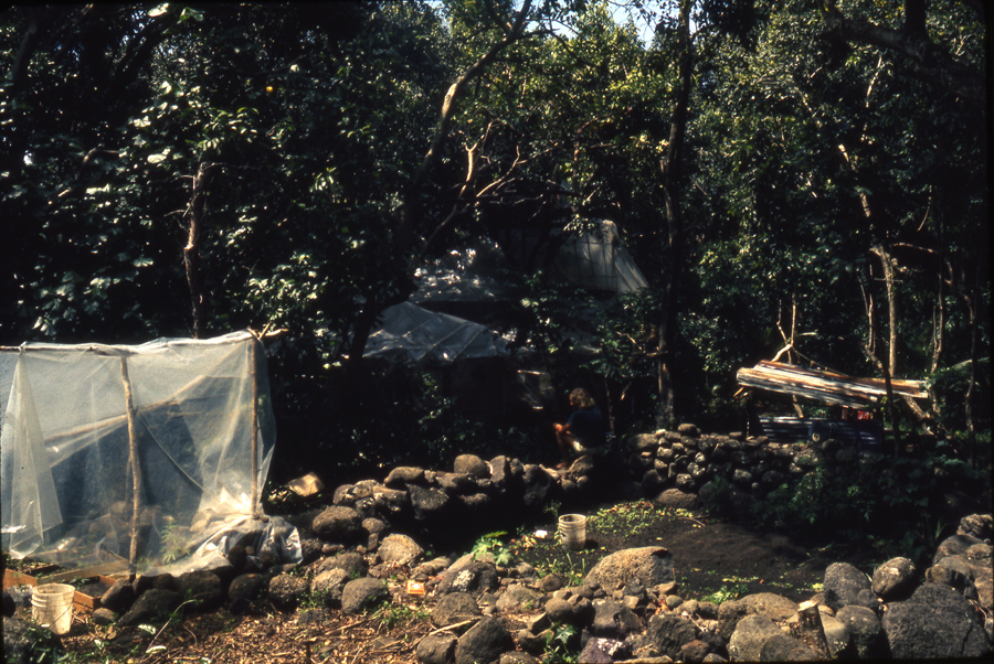 Chris Brook sitting on a stone wall, with our plastic Tree house, Taylor Camp, Haena, Hawaii, 1974 - Lloyd Godman photograph