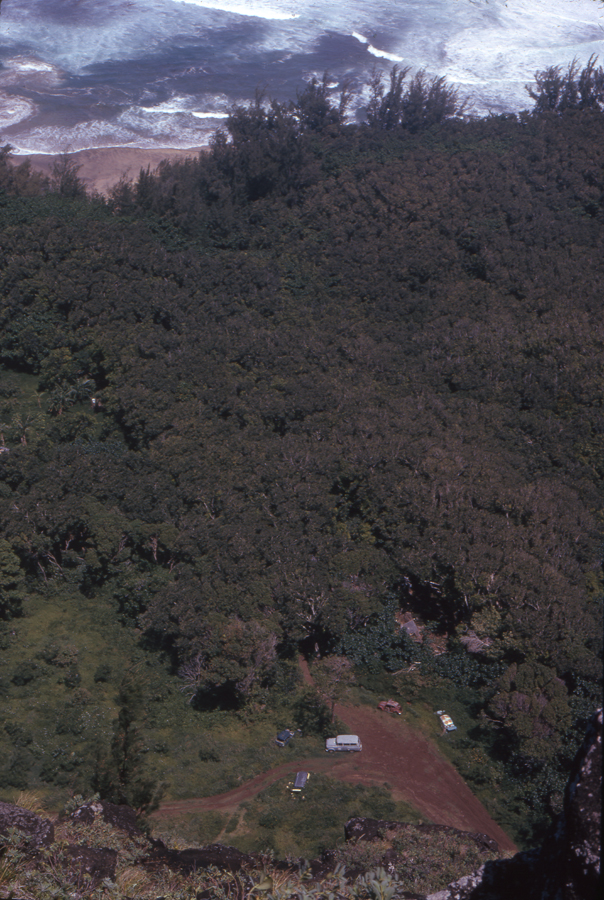 arieal view from the mountain above Taylor camp Haena, Hawaii, 1974 - our house is on the right of the track leading into the bush. Photo Lloyd Godman