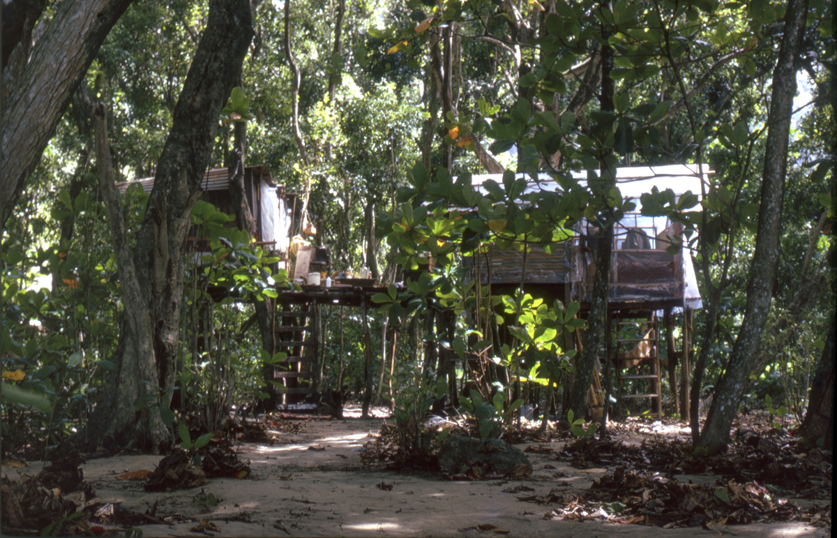 Taylor Camp tree house, Kauai, Lloyd Godman