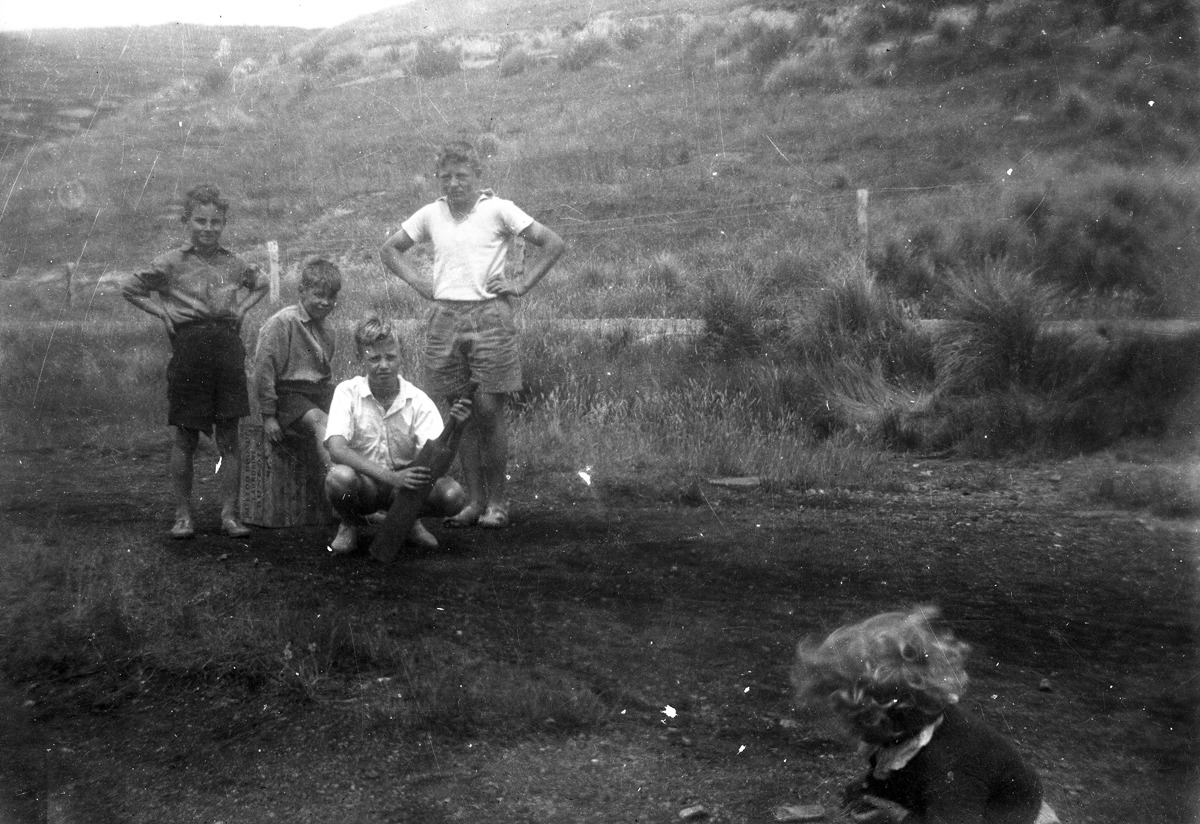 Cricket game Shag Point