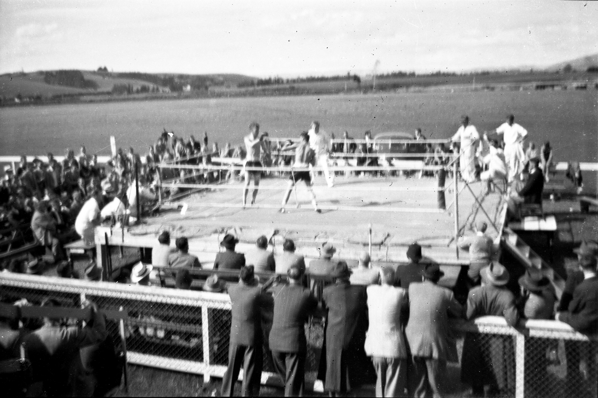 New Zealand Boxing tournament