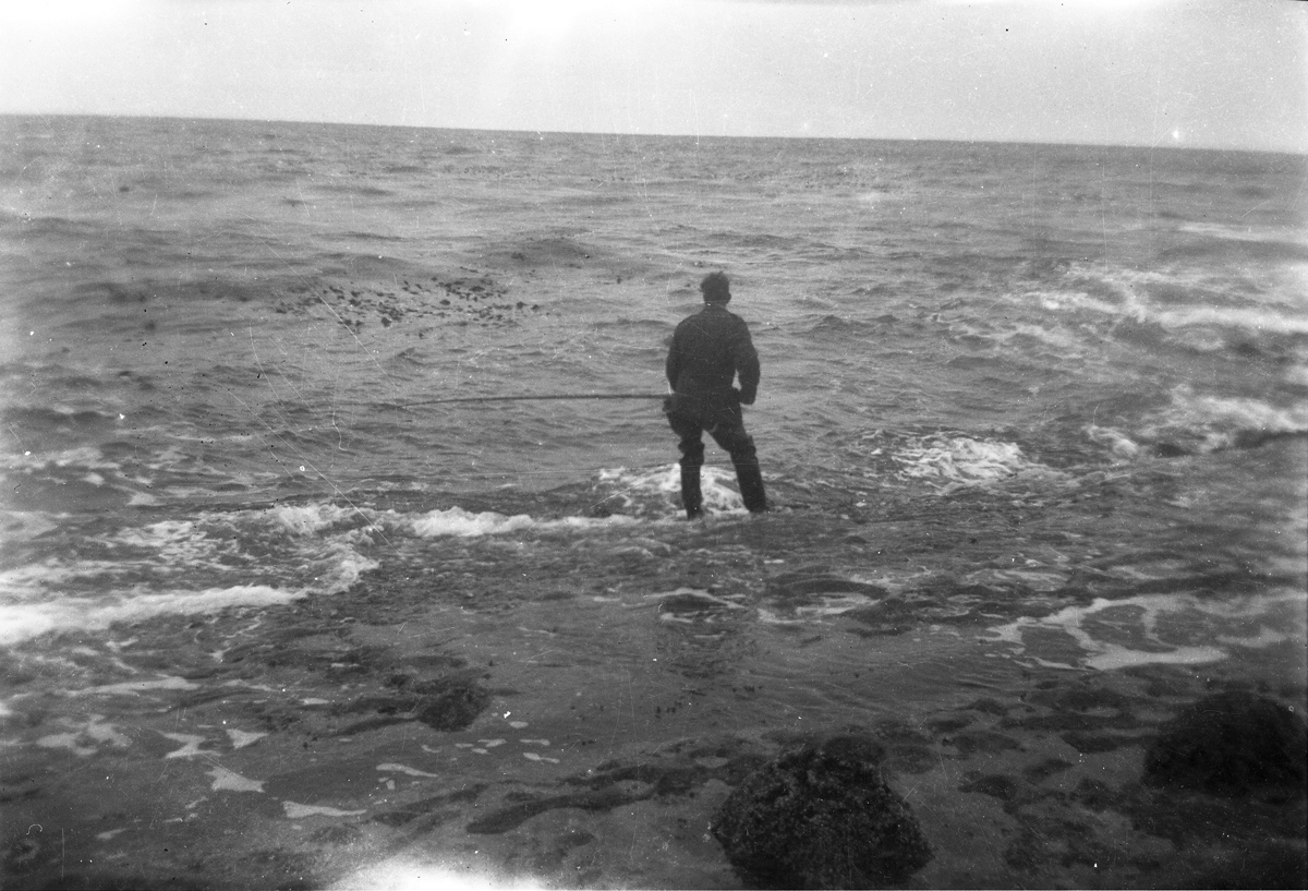 Rod fishing Shag Point