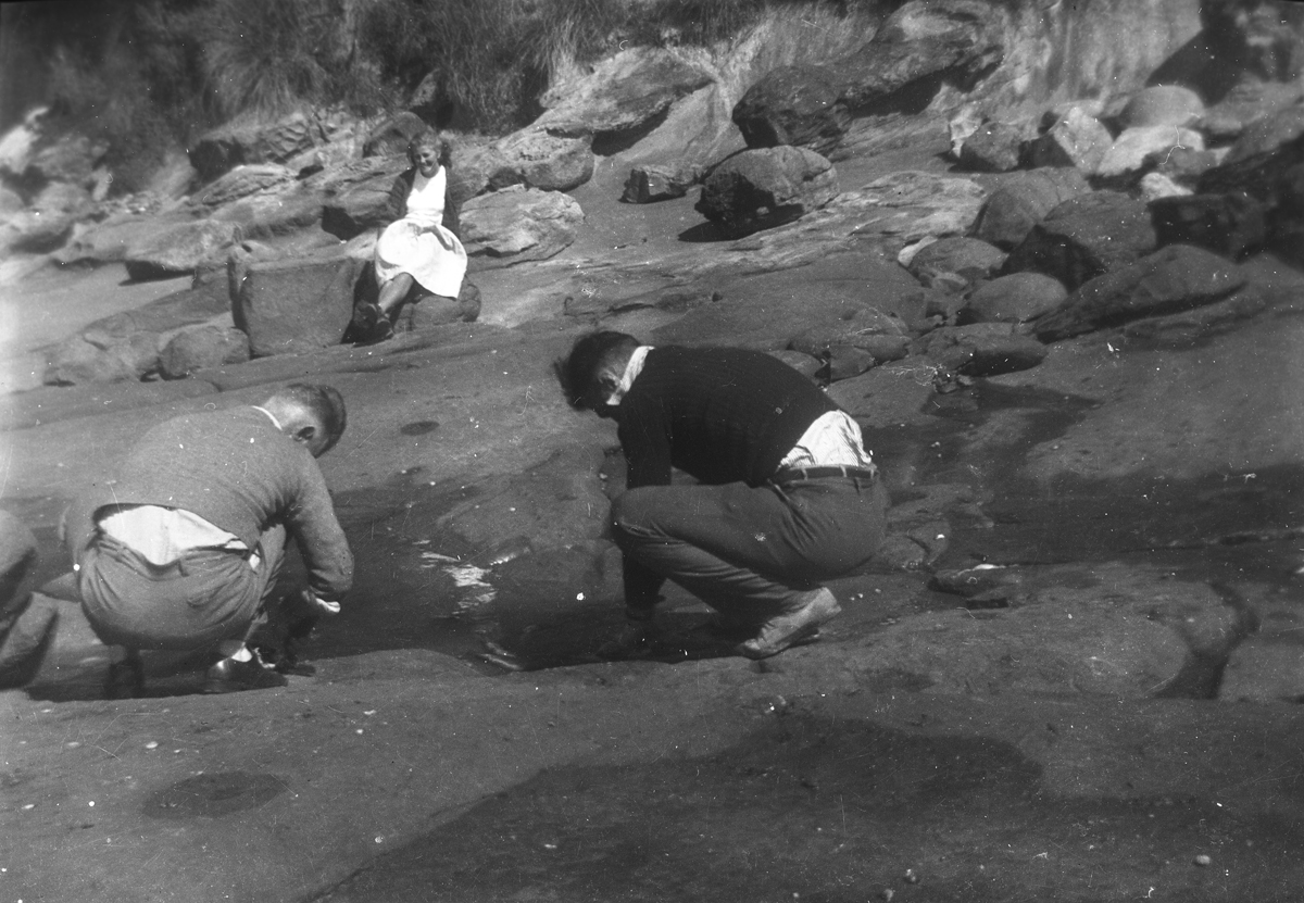 Harold Kindley left gutting fish on ther rocks at Shag Point