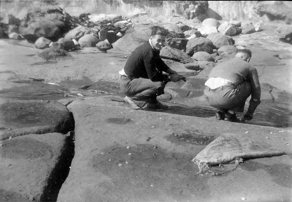 Harold Kindley on right gutting fish on ther rocks at Shag Point