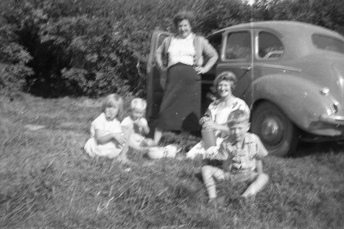 Picnic with Wendy Stewart (Godman) Ross Godman, Rachel Kindley (Sinclair) Joan Godman (Kindley) Lloyd Godman