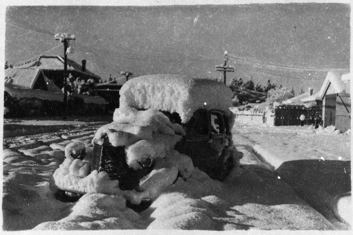 Snow dump Dunedin