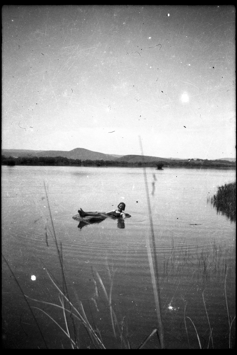 floating Lake Waihola