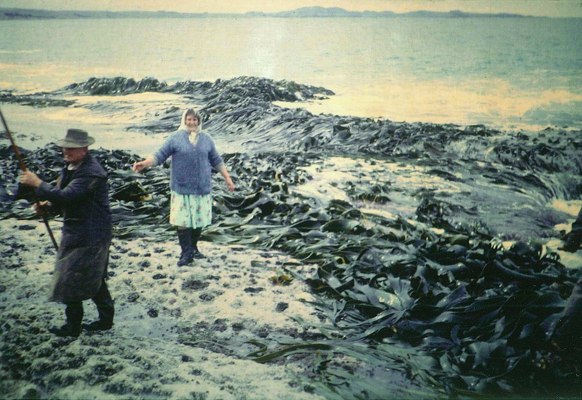Fishing Shag Point, Otago, Harold and Rachel Kindley